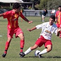 MetroStars-v-Croydon-10139.jpg