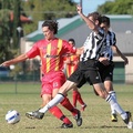 MetroStars-vs-AdelaideCity-10266.jpg