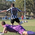 MetroStars-vs-AdelaideCity-10526.jpg