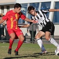 MetroStars-vs-AdelaideCity-10766.jpg