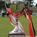 MetroStars-vs-Campbelltown-10003.jpg