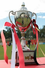 MetroStars-vs-Campbelltown-10014.jpg