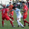 MetroStars-vs-Campbelltown-10657.jpg