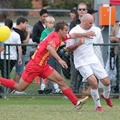 MetroStars-vs-Campbelltown-10857.jpg