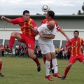 MetroStars-vs-Campbelltown-10891.jpg