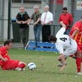 MetroStars-vs-Campbelltown-10952.jpg