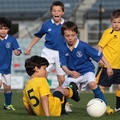 FFSA-Cup-Final-Western-Strikers-v-Adelaide-Blue-Eagles-10838.jpg