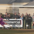 MetroStars-v-AdelaideCity-1130-1471742419-O.jpg