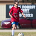 80KMS-White-City-v-Adelaide-Comets-10265.jpg