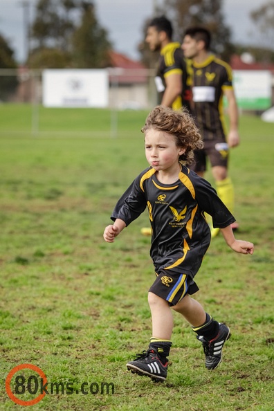 2013-08-24-Strikers-v-Birkalla-1245.jpg