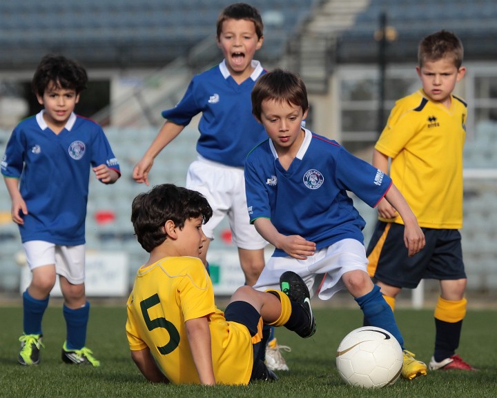 FFSA-Cup-Final-Western-Strikers-v-Adelaide-Blue-Eagles-10838.jpg