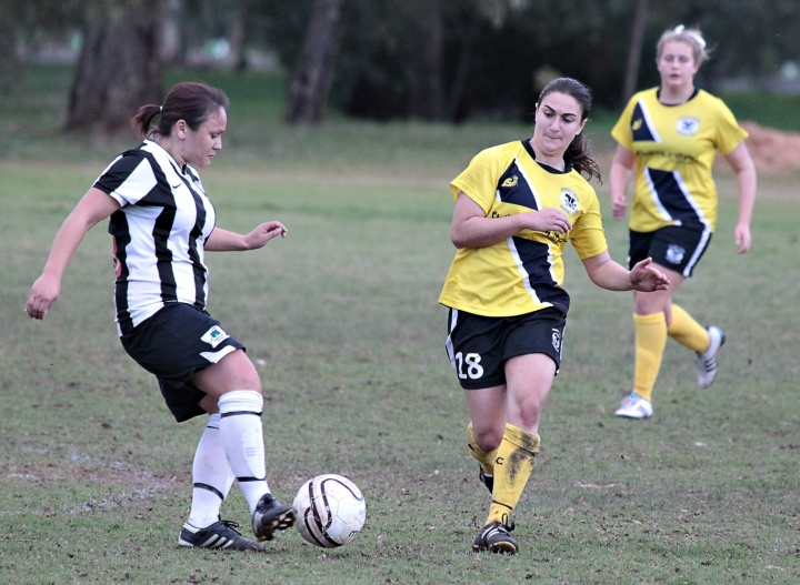 Adelaide-City-vs-Fulham-United-10543.jpg